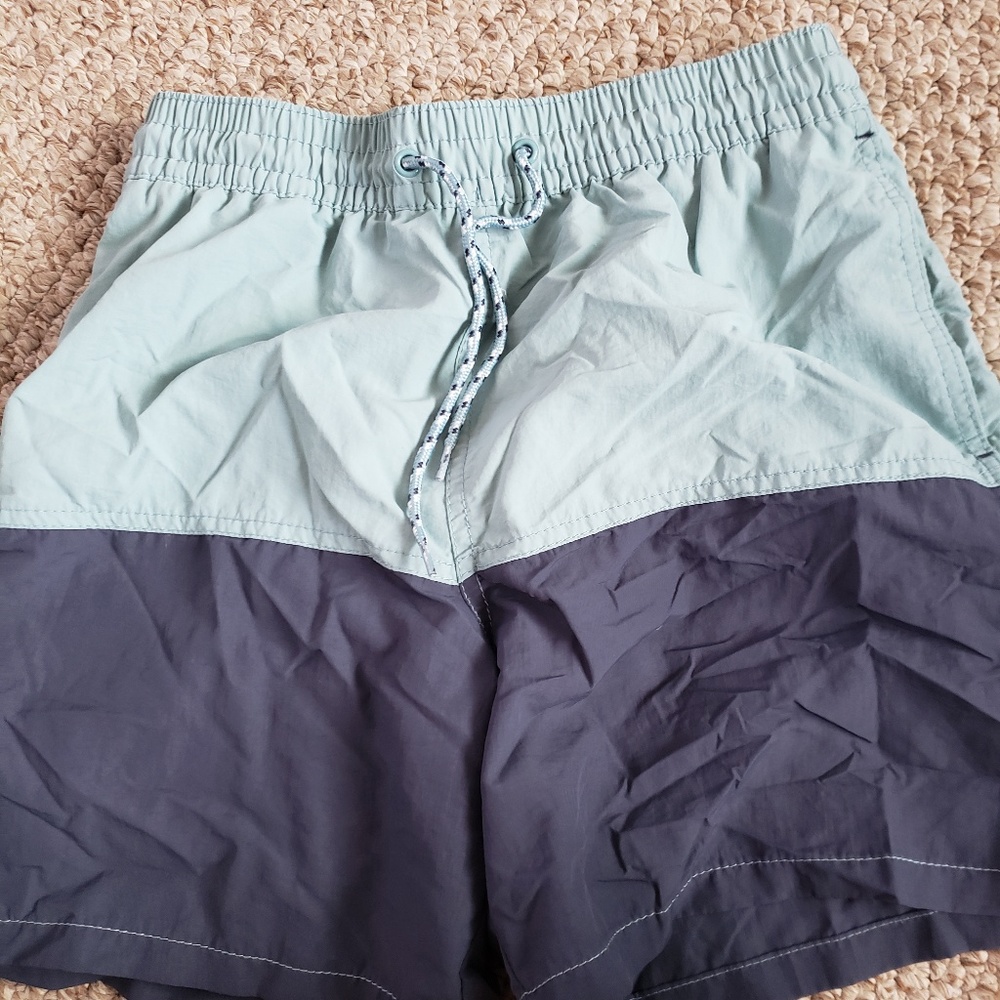 Goodfellow Blue Swim Shorts